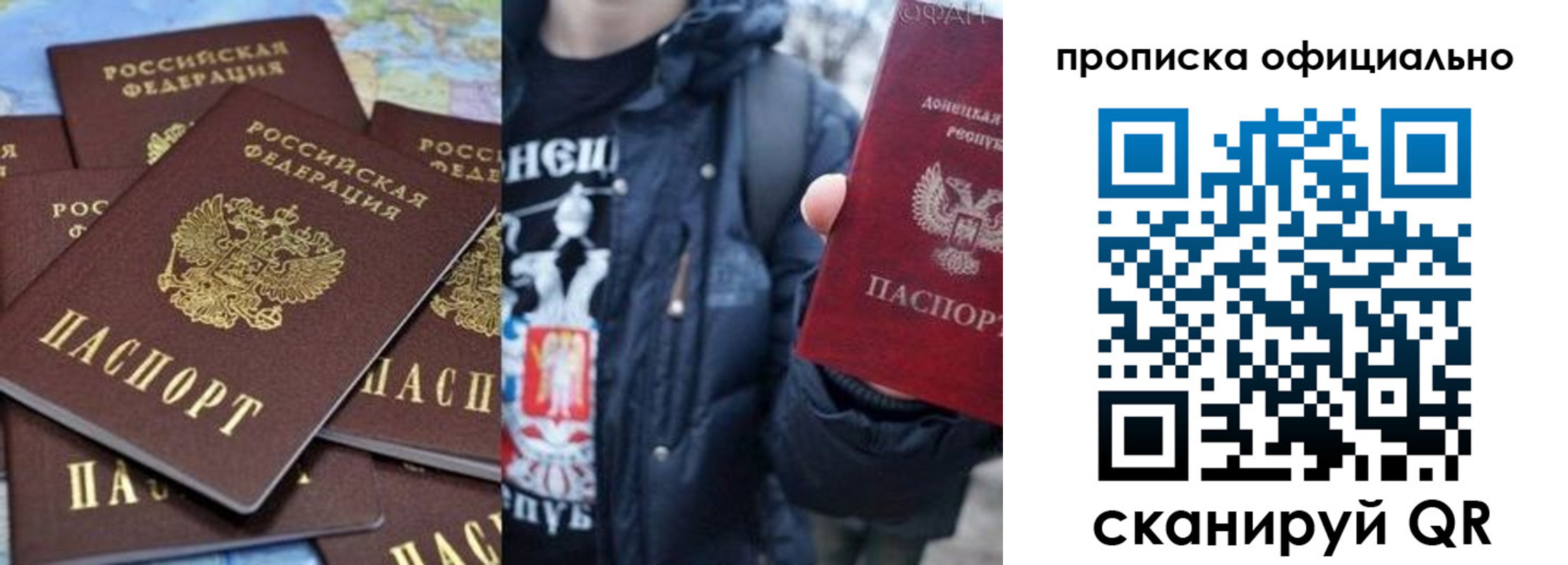 где прописаться в Ельне