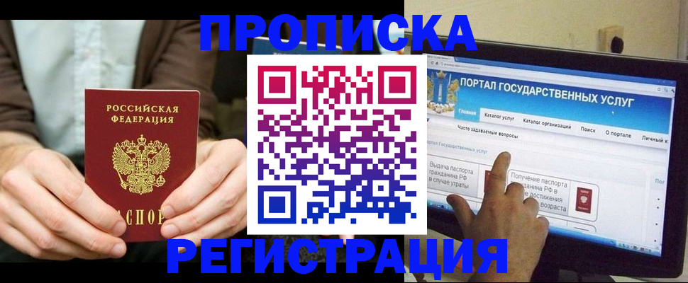 прописка в Ельне